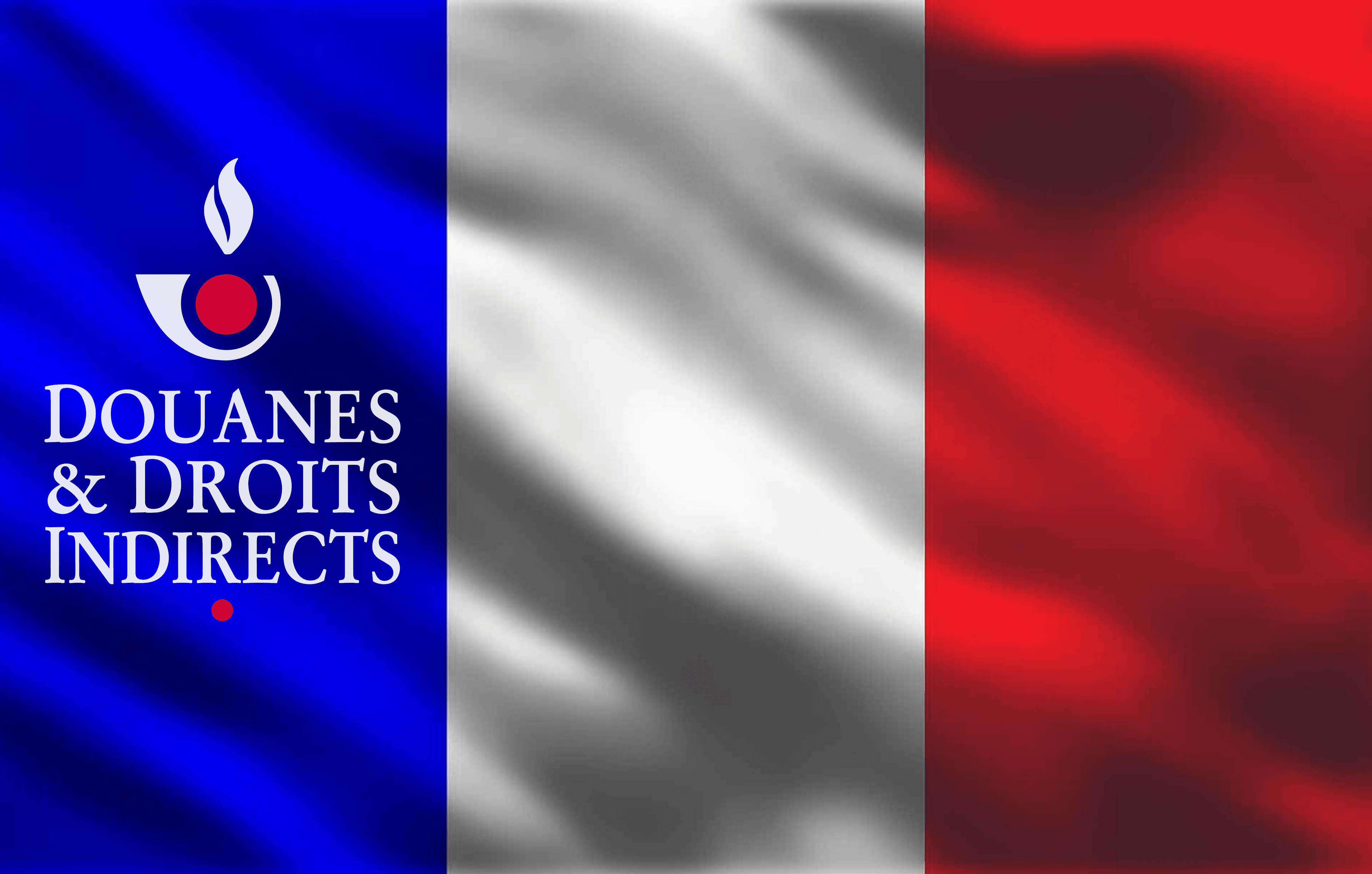 Adjustment procedure French excise declaration (TICPE)