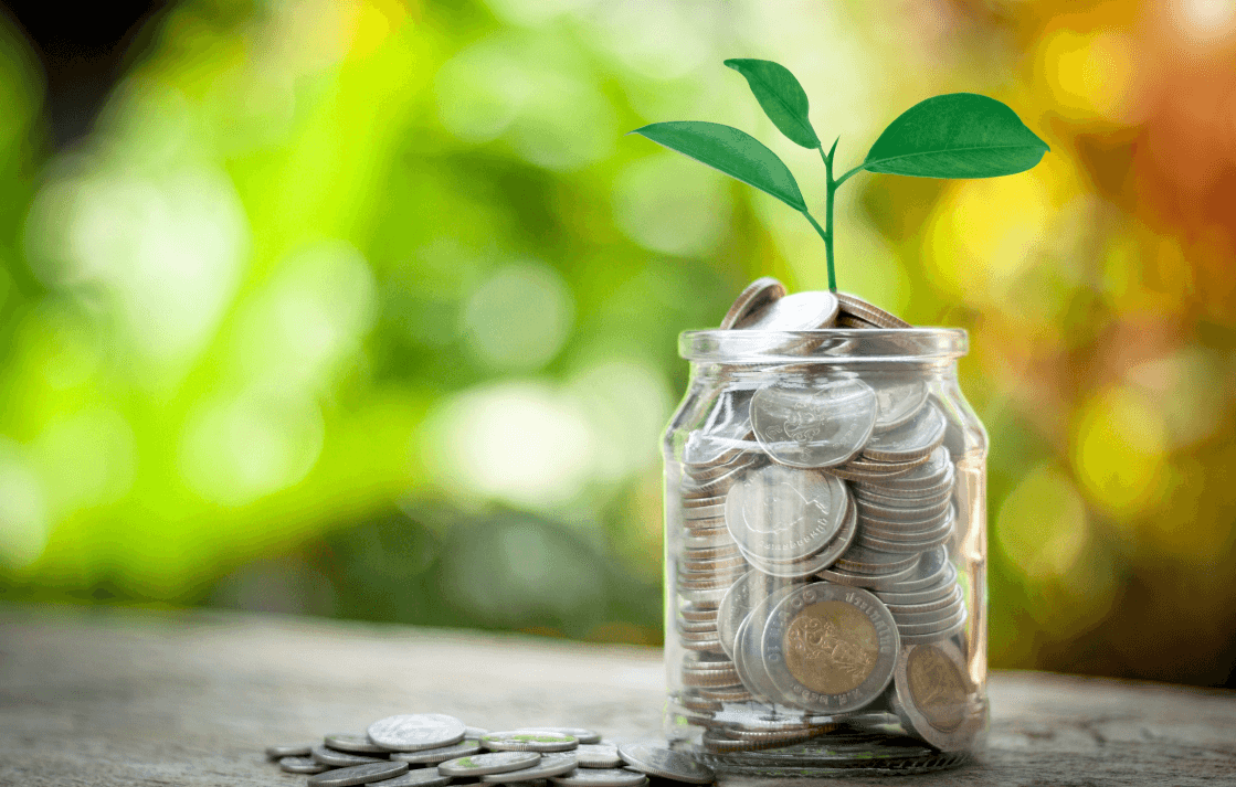 Schemes, deductions, depreciation and grants at 'green transition